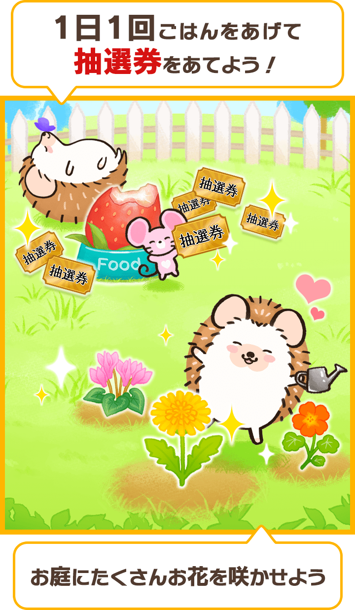 ハリーとあそぼ！