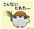 コウペンちゃん