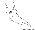うさぎ帝国