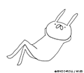 うさぎ帝国